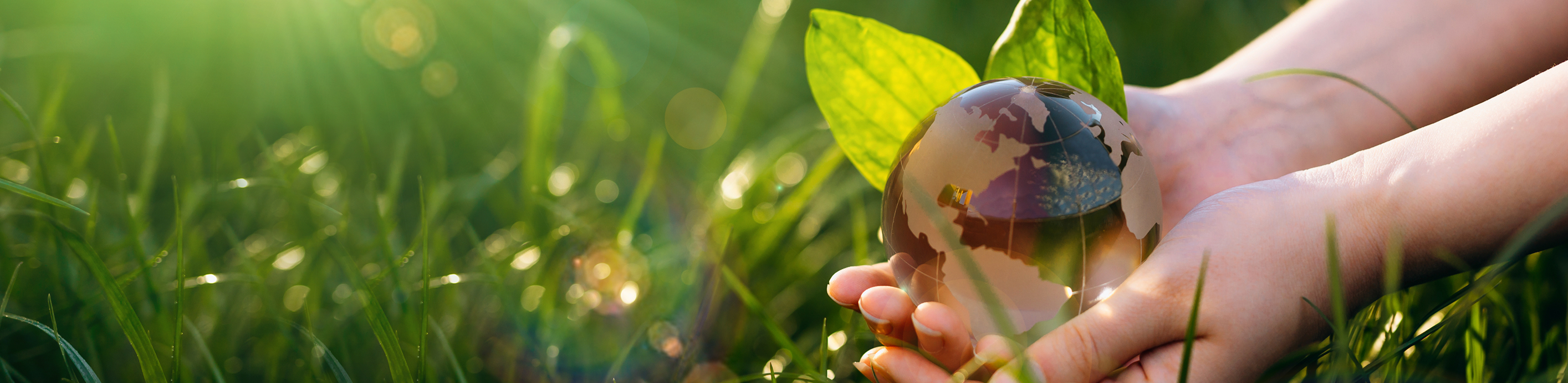 施工事例・お知らせ