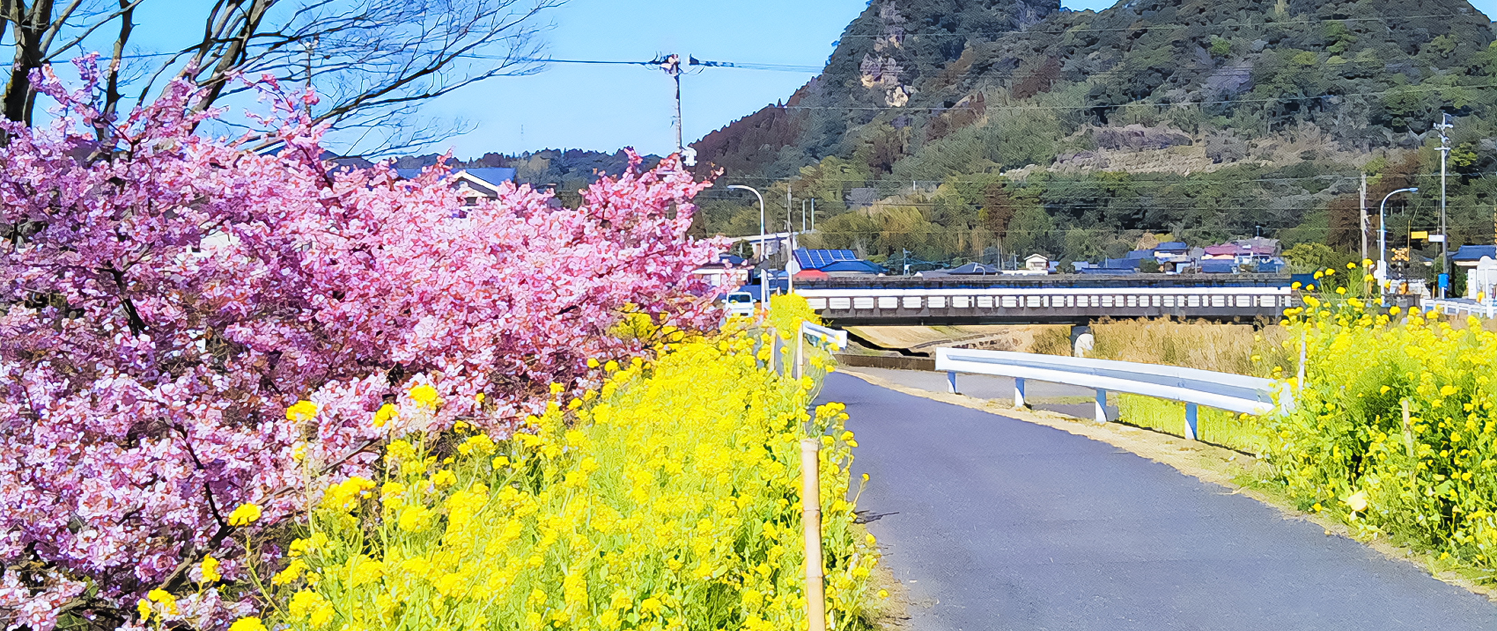 社会への取組み